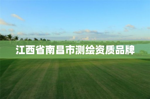 江西省南昌市测绘资质品牌