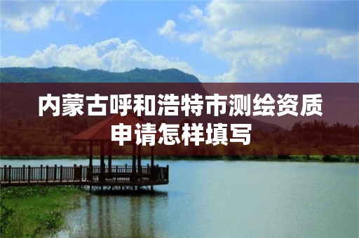 内蒙古呼和浩特市测绘资质申请怎样填写