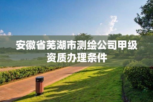 安徽省芜湖市测绘公司甲级资质办理条件