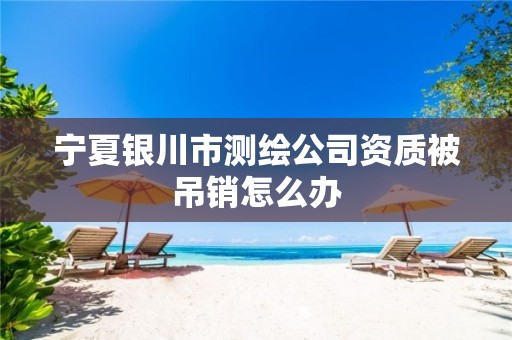 宁夏银川市测绘公司资质被吊销怎么办