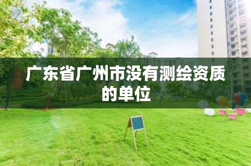 广东省广州市没有测绘资质的单位