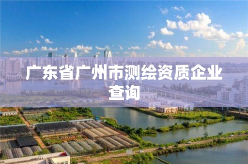 广东省广州市测绘资质企业查询