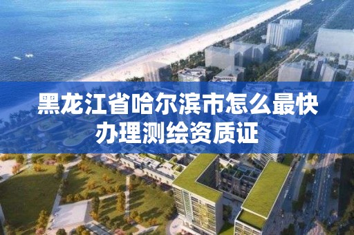 黑龙江省哈尔滨市怎么最快办理测绘资质证 黑龙江省哈尔滨市怎么最快办理测绘资质证