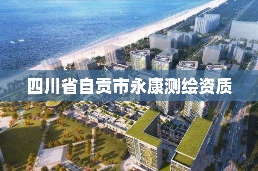 四川省自贡市永康测绘资质 四川省自贡市永康测绘资质