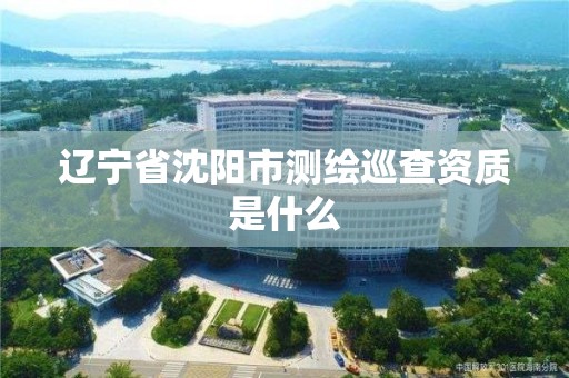 辽宁省沈阳市测绘巡查资质是什么
