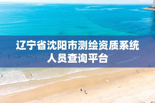辽宁省沈阳市测绘资质系统人员查询平台