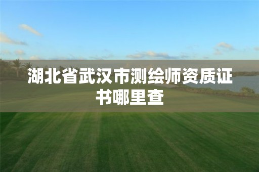 湖北省武汉市测绘师资质证书哪里查