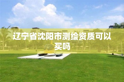 辽宁省沈阳市测绘资质可以买吗