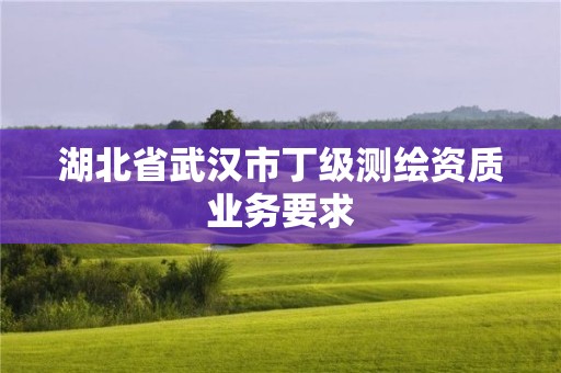 湖北省武汉市丁级测绘资质业务要求