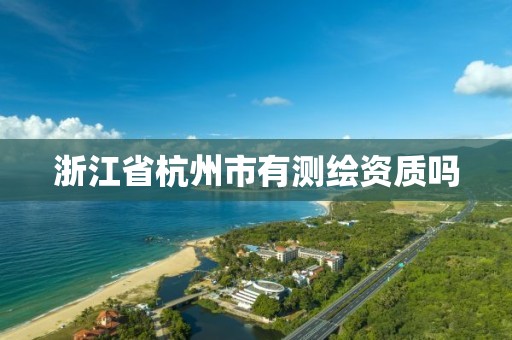 浙江省杭州市有测绘资质吗