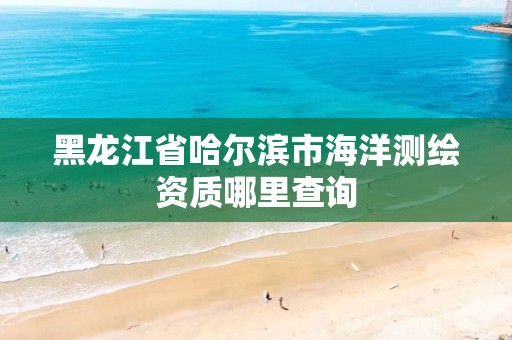 黑龙江省哈尔滨市海洋测绘资质哪里查询 黑龙江省哈尔滨市海洋测绘资质哪里查询