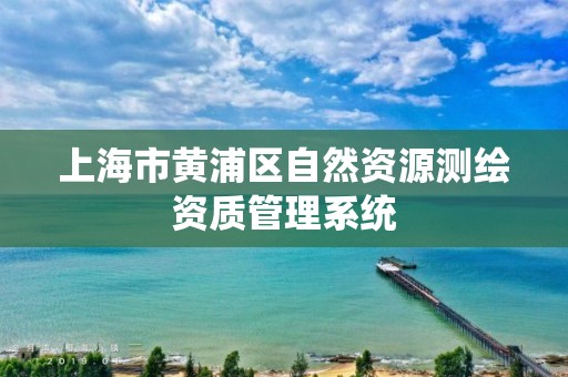 上海市黄浦区自然资源测绘资质管理系统