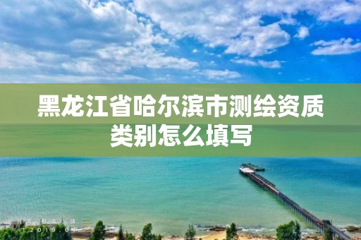 黑龙江省哈尔滨市测绘资质类别怎么填写 黑龙江省哈尔滨市测绘资质类别怎么填写