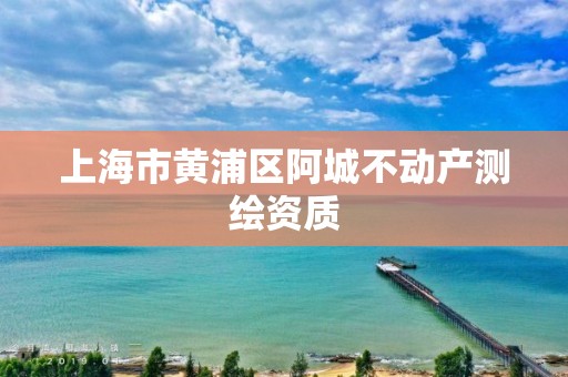 上海市黄浦区阿城不动产测绘资质