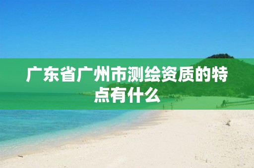 广东省广州市测绘资质的特点有什么