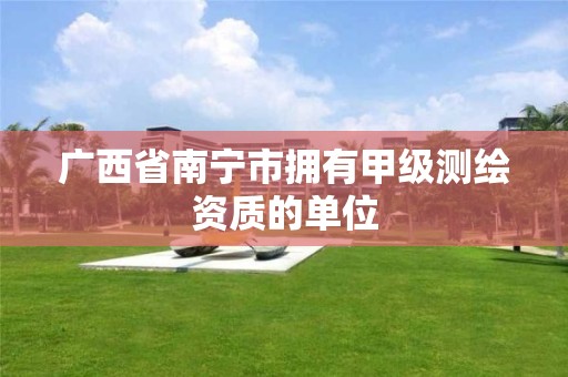 广西省南宁市拥有甲级测绘资质的单位