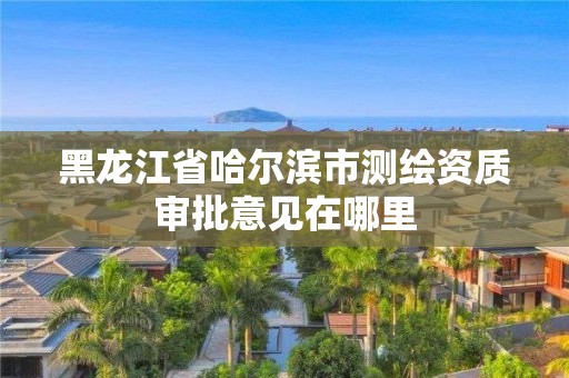 黑龙江省哈尔滨市测绘资质审批意见在哪里