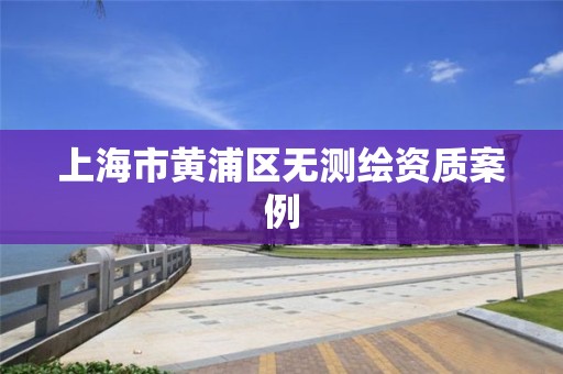 上海市黄浦区无测绘资质案例