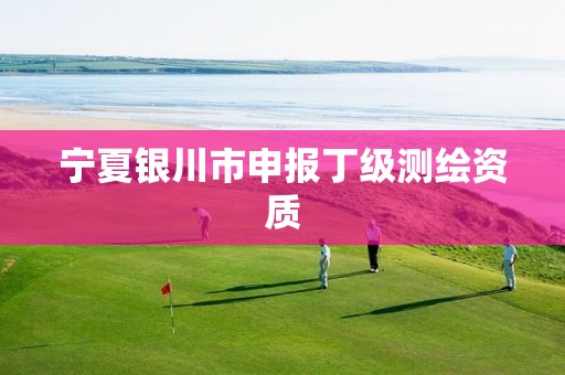 宁夏银川市申报丁级测绘资质