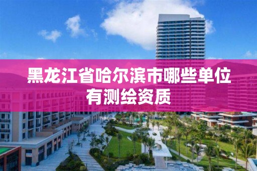 黑龙江省哈尔滨市哪些单位有测绘资质