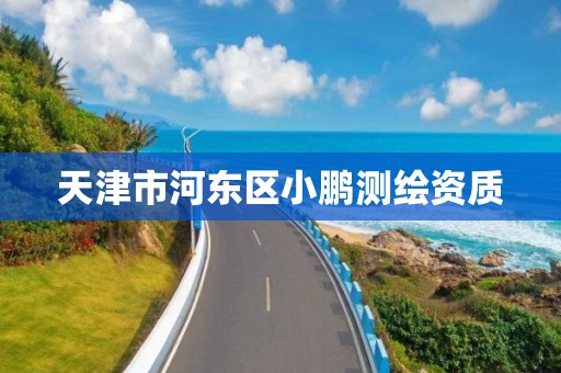 天津市河东区小鹏测绘资质