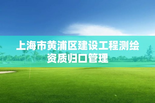 上海市黄浦区建设工程测绘资质归口管理