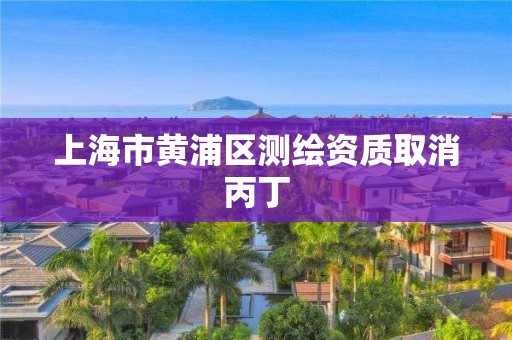 上海市黄浦区测绘资质取消丙丁 上海市黄浦区测绘资质取消丙丁