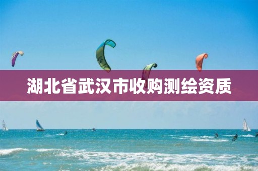 湖北省武汉市收购测绘资质