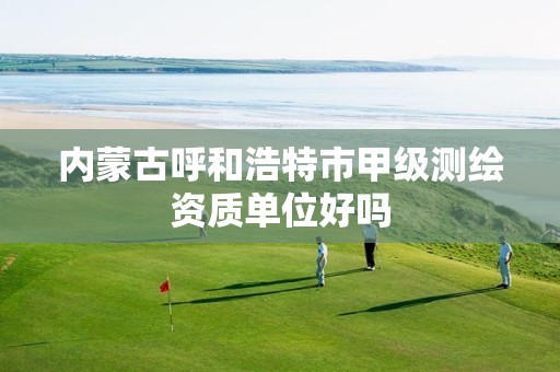 内蒙古呼和浩特市甲级测绘资质单位好吗