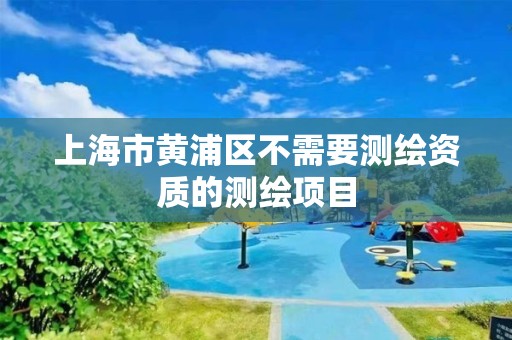 上海市黄浦区不需要测绘资质的测绘项目