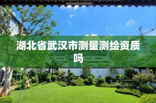 湖北省武汉市测量测绘资质吗 湖北省武汉市测量测绘资质吗