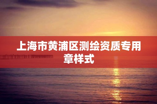 上海市黄浦区测绘资质专用章样式 上海市黄浦区测绘资质专用章样式