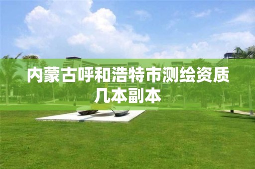 内蒙古呼和浩特市测绘资质几本副本 内蒙古呼和浩特市测绘资质几本副本