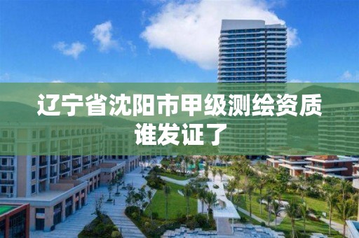 辽宁省沈阳市甲级测绘资质谁发证了