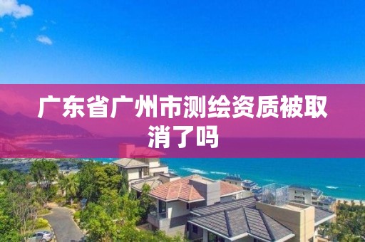 广东省广州市测绘资质被取消了吗