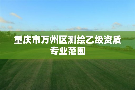 重庆市万州区测绘乙级资质专业范围