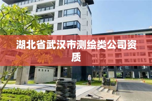 湖北省武汉市测绘类公司资质