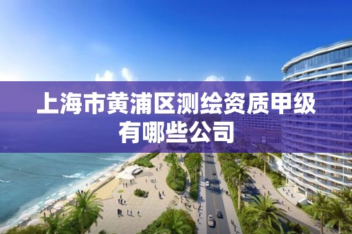 上海市黄浦区测绘资质甲级有哪些公司
