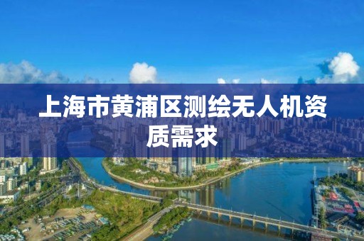 上海市黄浦区测绘无人机资质需求 上海市黄浦区测绘无人机资质需求