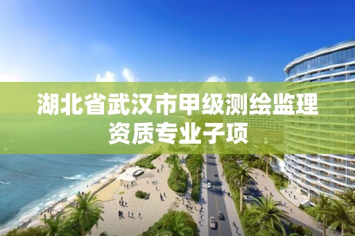 湖北省武汉市甲级测绘监理资质专业子项