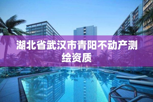 湖北省武汉市青阳不动产测绘资质