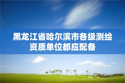 黑龙江省哈尔滨市各级测绘资质单位都应配备