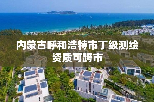 内蒙古呼和浩特市丁级测绘资质可跨市
