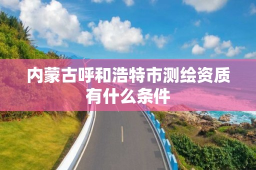 内蒙古呼和浩特市测绘资质有什么条件