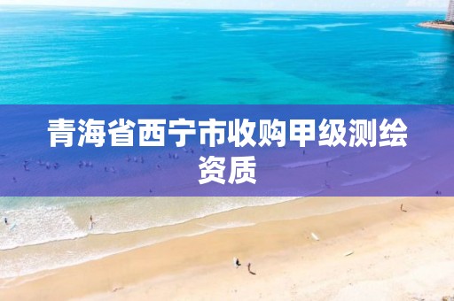 青海省西宁市收购甲级测绘资质 青海省西宁市收购甲级测绘资质