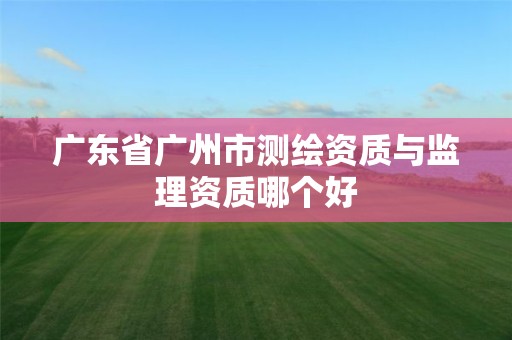 广东省广州市测绘资质与监理资质哪个好