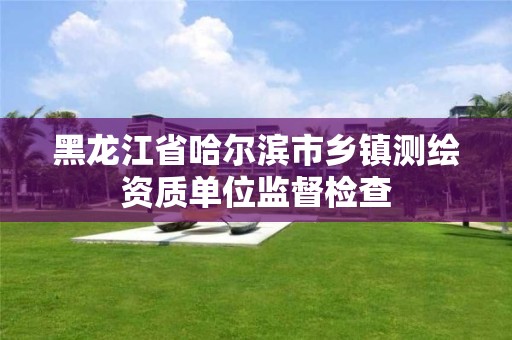 黑龙江省哈尔滨市乡镇测绘资质单位监督检查
