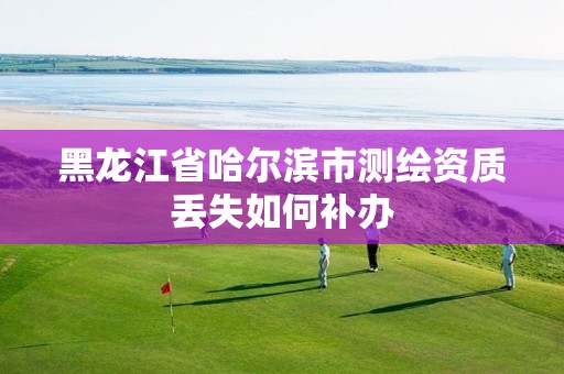 黑龙江省哈尔滨市测绘资质丢失如何补办