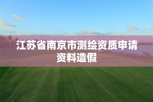 江苏省南京市测绘资质申请资料造假