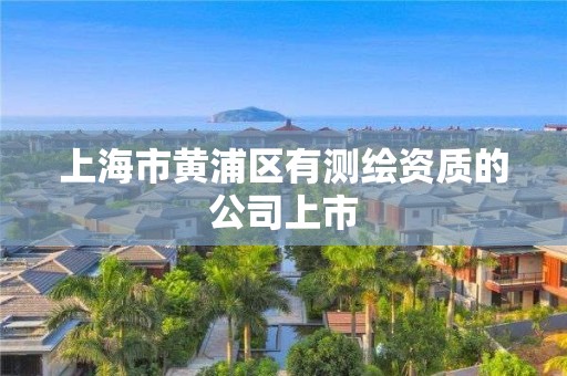 上海市黄浦区有测绘资质的公司上市 上海市黄浦区有测绘资质的公司上市